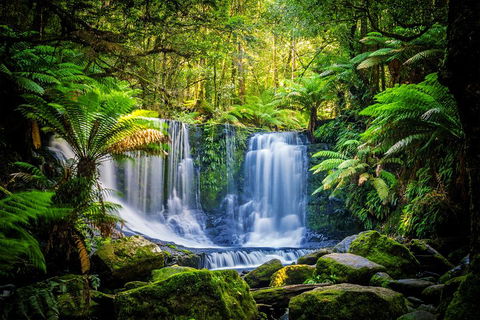 Day Tour In Mt. Field, Mt. Wellington, Bonorong Wildlife Sanctuary And Richmond - Accommodation 4U 0