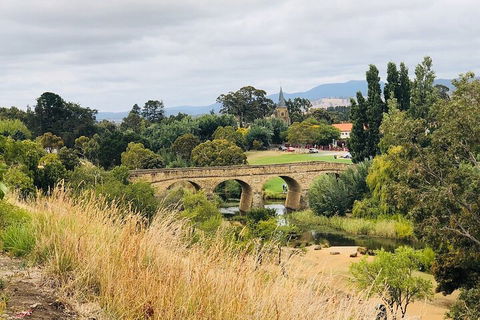 Day Tour In Mt. Field, Mt. Wellington, Bonorong Wildlife Sanctuary And Richmond - Accommodation 4U 3
