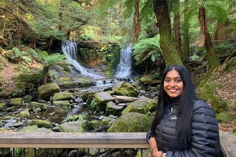 Day Tour In Mt. Field, Mt. Wellington, Bonorong Wildlife Sanctuary And Richmond - Accommodation 4U 5