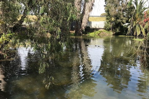 Perth East Foreshore And City Segway Tour - Accommodation 4U 1