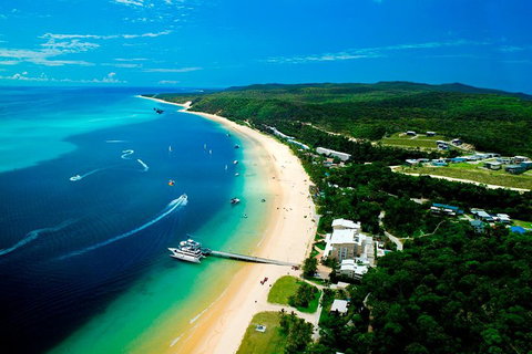 Tangalooma Island Resort Whale Watching Day Cruise - Accommodation 4U 2
