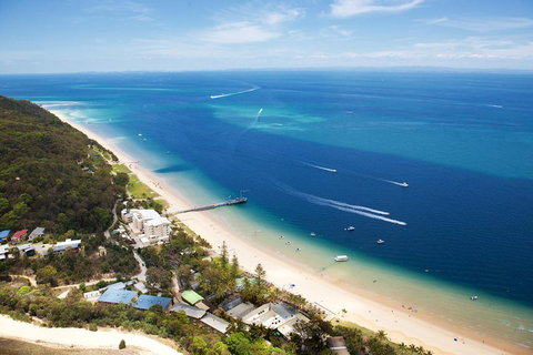 Tangalooma Island Resort Whale Watching Day Cruise - Accommodation 4U 3