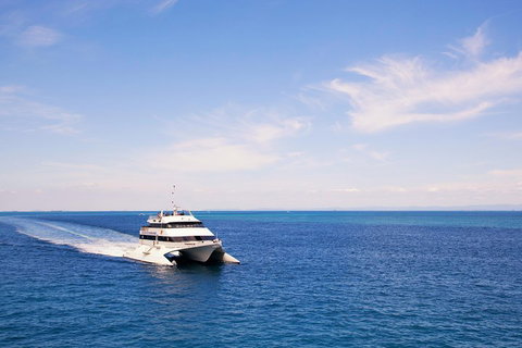 Tangalooma Island Resort Whale Watching Day Cruise - Accommodation 4U 5
