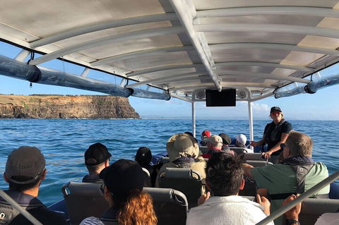 Julian Rocks Byron Bay Cruise - Accommodation 4U 4
