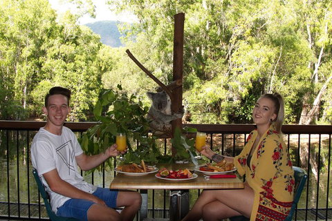 Hartley's Crocodile Adventures Breakfast With The Koalas - Accommodation 4U 5