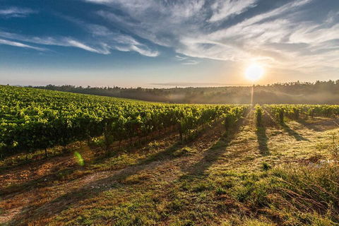 Perth To Margaret River Wine Tour - 2 Day Premium Boutique Wine Tour Experience - Accommodation 4U 0