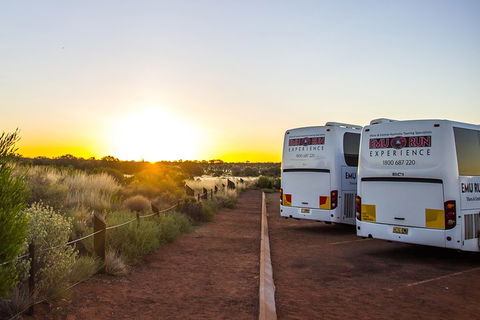 Uluru And Kata Tjuta Experience With BBQ Dinner - Accommodation 4U 2