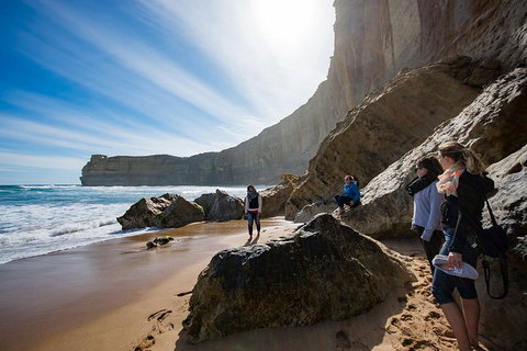 Small-Group Great Ocean Road And 12 Apostles Full-Day Tour From Melbourne - Accommodation 4U 1