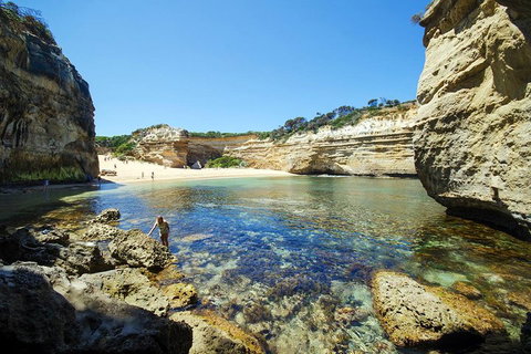 Small-Group Great Ocean Road And 12 Apostles Full-Day Tour From Melbourne - Accommodation 4U 5