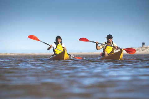 Kangaroo Island Self-Guided Kayaking On The Harriet River - Accommodation 4U 2