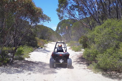Kangaroo Island Quad Bike (ATV) Tours - Accommodation 4U 4