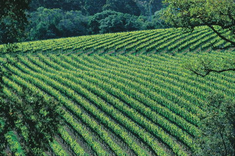 Margaret River Private Tour - Accommodation 4U 4