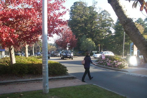 PRIVATE All-Day Blue Mountains Tour With Professional Guide For Up To 4 People - Accommodation 4U 1