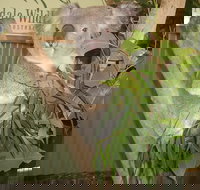 Blue Mountains Private Full-Day Tour from Sydney with Cruise - Accommodation 4U