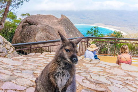 Wineglass Bay & Freycinet NP Full Day Tour From Hobart Via Richmond Village - Accommodation 4U 0