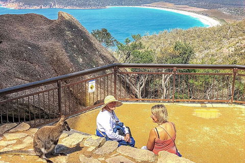 Wineglass Bay & Freycinet NP Full Day Tour From Hobart Via Richmond Village - Accommodation 4U 1