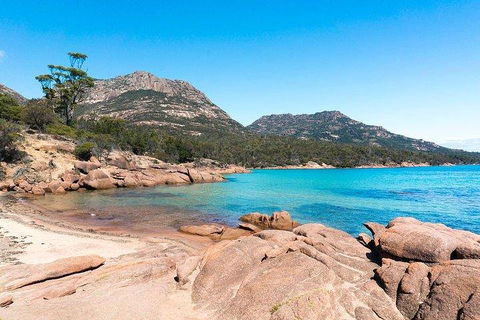 Wineglass Bay & Freycinet NP Full Day Tour From Hobart Via Richmond Village - Accommodation 4U 5