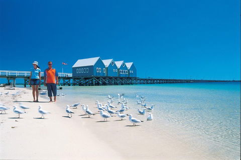 Margaret River And Geographe Bay Region Day Trip From Perth - Accommodation 4U 0