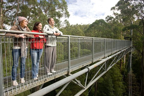 Adventure Sunset Three Day Great Ocean Road Tour - Accommodation 4U 0