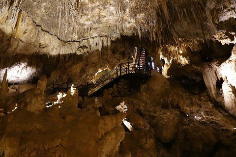 Ngilgi Cave Semi-guided Tour - Accommodation 4U 2