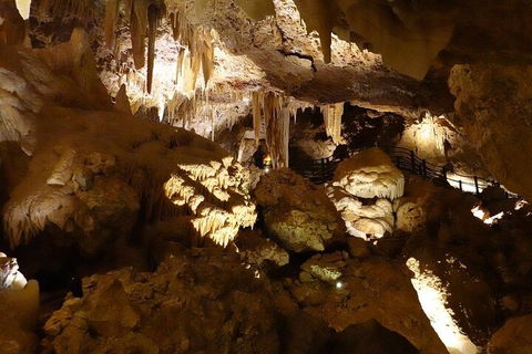Ngilgi Cave Semi-guided Tour - Accommodation 4U 3