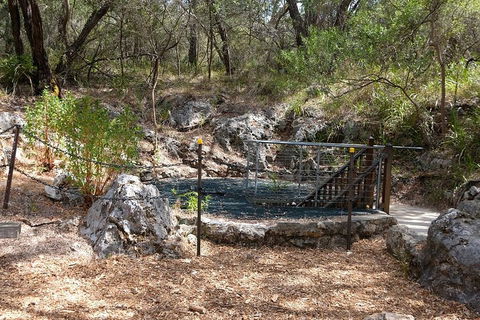 Ngilgi Cave Semi-guided Tour - Accommodation 4U 4