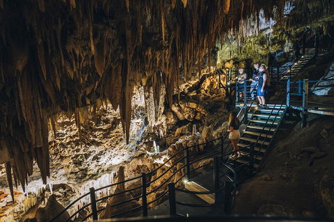 Ngilgi Cave Semi-guided Tour - Accommodation 4U 5