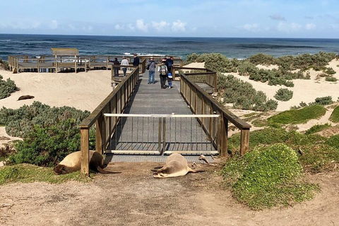 Kangaroo Island 4WD Tour - Best Of KI - Accommodation 4U 2