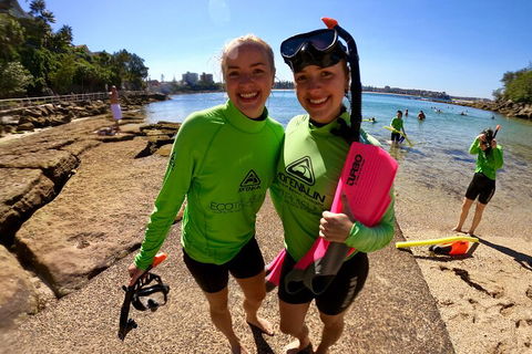Manly Snorkel Trip And Nature Walk With Local Guide - Accommodation 4U 1