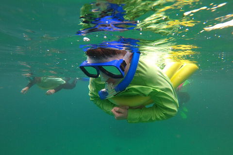 Manly Snorkel Trip And Nature Walk With Local Guide - Accommodation 4U 5
