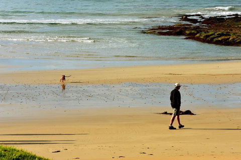 Ultimate Reverse Direction - 12 Apostles, Great Ocean Road - Small Group Tour - Accommodation 4U 1