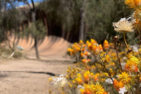 The Big Wave Rock (Private) Day Tour - Accommodation 4U 3