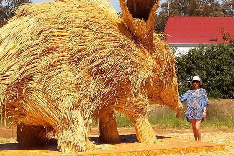 The Big Wave Rock (Private) Day Tour - Accommodation 4U 5