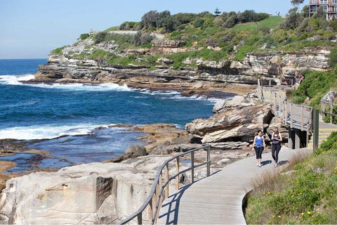 Private Tour: Sydney City Highlights - Accommodation 4U 2