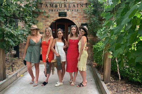 A Full Day Hunter Valley Wine Tasting Tour With Lunch And Tasting Fee's Included - Accommodation 4U 4