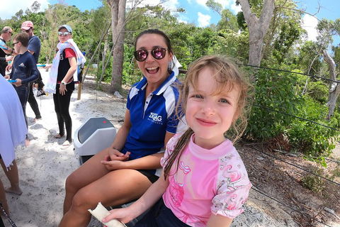 Whitehaven Beach Day Tour With Snorkel In Whitsundays Island - Accommodation 4U 1