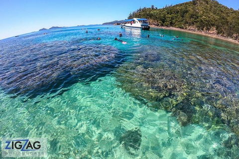 Whitehaven Beach Day Tour With Snorkel In Whitsundays Island - Accommodation 4U 5