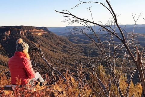 Ultimate Blue Mountains Waterfalls, Walks & Sunset PRIVATE Tour - Accommodation 4U 2