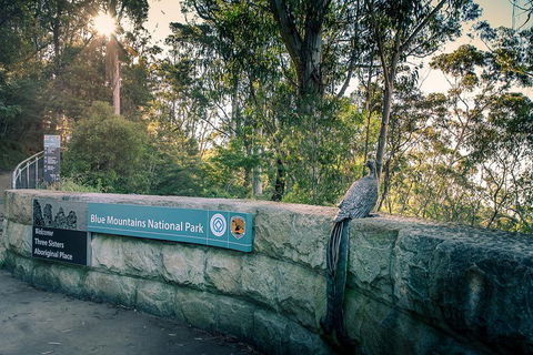 Ultimate Blue Mountains Waterfalls, Walks & Sunset PRIVATE Tour - Accommodation 4U 3
