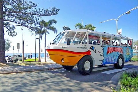Aquaduck Sunshine Coast - Accommodation 4U 1