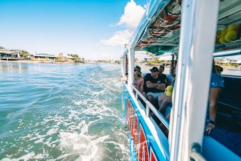 Aquaduck Sunshine Coast - Accommodation 4U 5