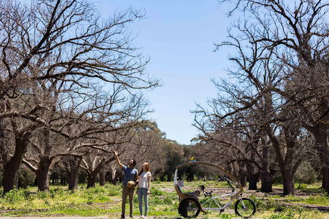 Adelaide 90-Minute Pedicab Tour: Scenic Green & River Experience - Accommodation 4U 1