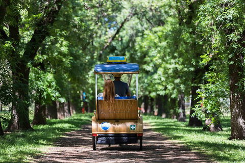 Adelaide 90-Minute Pedicab Tour: Scenic Green & River Experience - Accommodation 4U 2