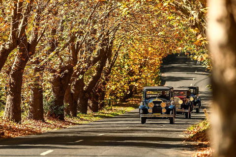 Blue Mountains Vintage Cadillac Tour With Local Guide - Accommodation 4U 1