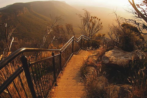 Blue Mountains Vintage Cadillac Tour With Local Guide - Accommodation 4U 3