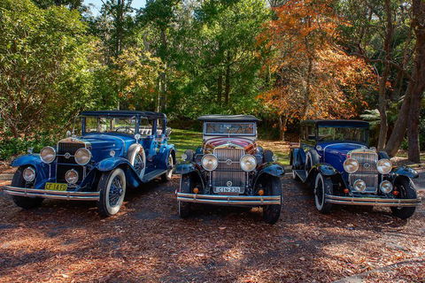 Blue Mountains Vintage Cadillac Tour With Local Guide - Accommodation 4U 4