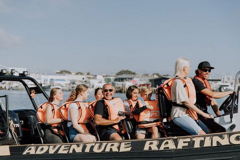 Adventure Whale Watching Tour Mooloolaba - Accommodation 4U 4