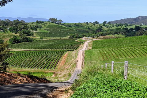 The Complete Hunter Valley Wine Tour Of Pokolbin, Mt View, Lovedale And Rothbury - Accommodation 4U 0