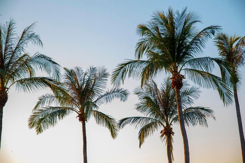 Darwin City Sightseeing Tour - Accommodation 4U 0