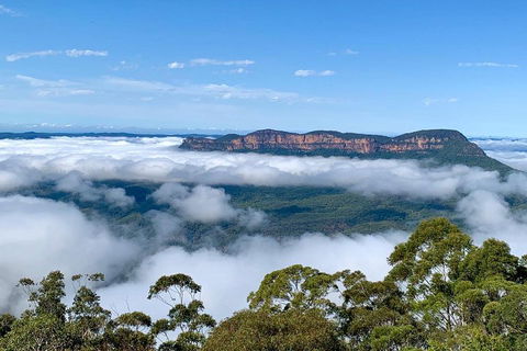 Small-Group Blue Mountains Tour With A Local Guide - Accommodation 4U 4